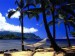 havajska_plaz